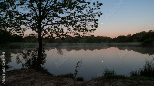 Full moon at daybreak, still waters with reflections © Tamara  Harding
