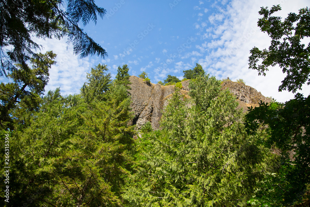 Boulder Rock Hidden Behind Trees Boulder Rock Hidden Behind Trees