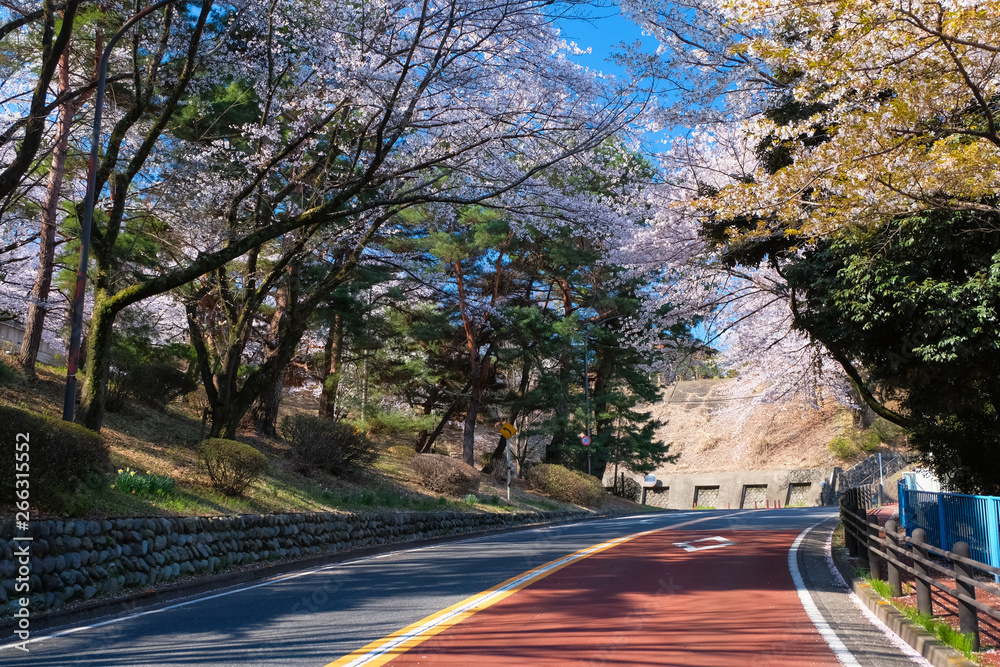 54 Best いろは坂通り Images Stock Photos Vectors Adobe Stock