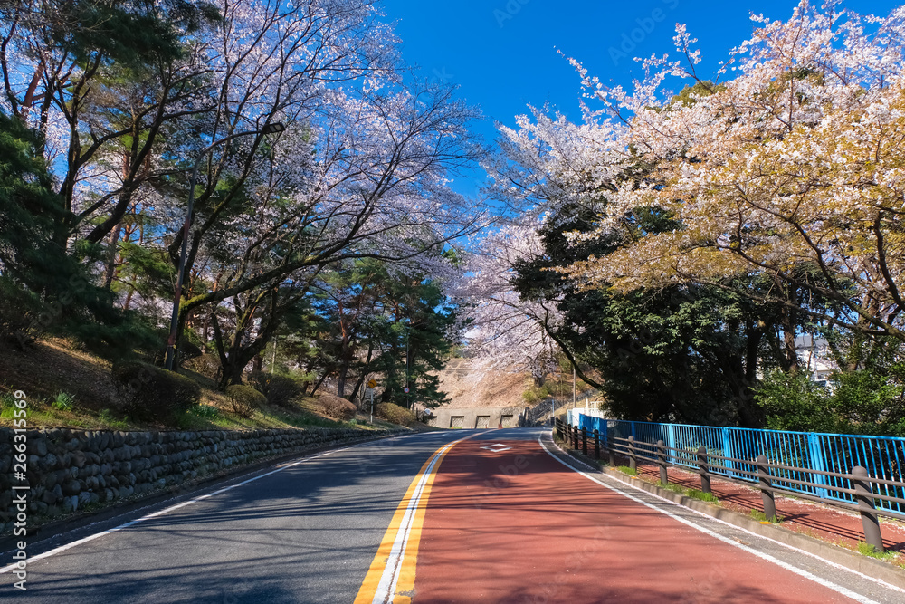 54 Best いろは坂通り Images Stock Photos Vectors Adobe Stock