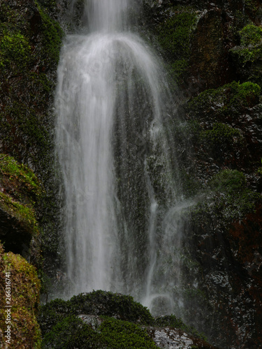 waterfall in forest