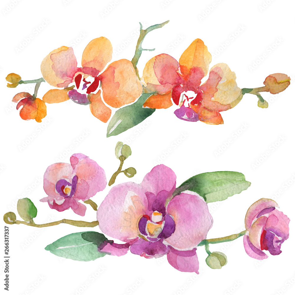 Naklejka premium Orchid bouquets floral botanical flowers. Watercolor background illustration set. Isolated orchid illustration element.