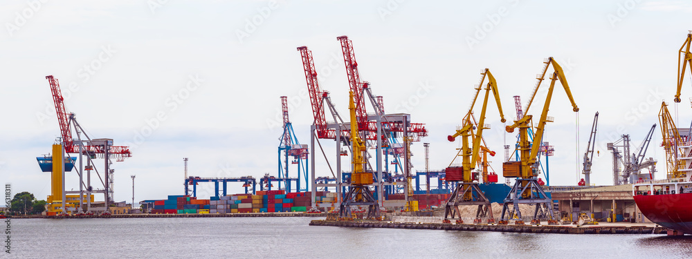 Cranes in the port Cranes in the port
