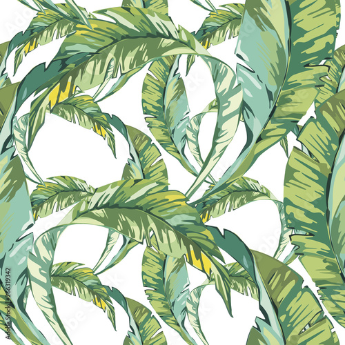 Tropical palm leaves illustratiobs. Jungle leaves isolated on white background. Seamless patterns.