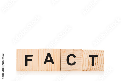 fact word made of wooden blocks isolated on white