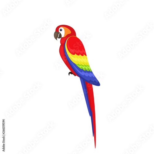 Bird parrot with flat style on white background.