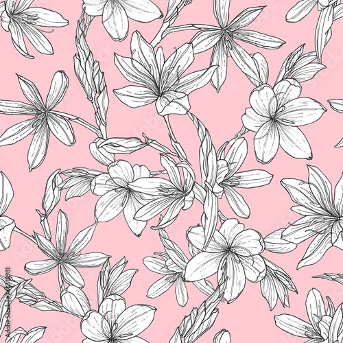 seamless pattern with hand drawn illustrations of Schizostylis. .botanical graphic drawing of kaffir lily flower. .Use for cards  textiles  backgrounds  invitations  paper  scrapbooking.