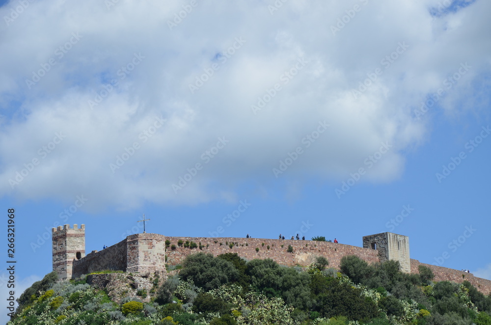 View on Bosa and the Castle - il Castello di Serravalle 
