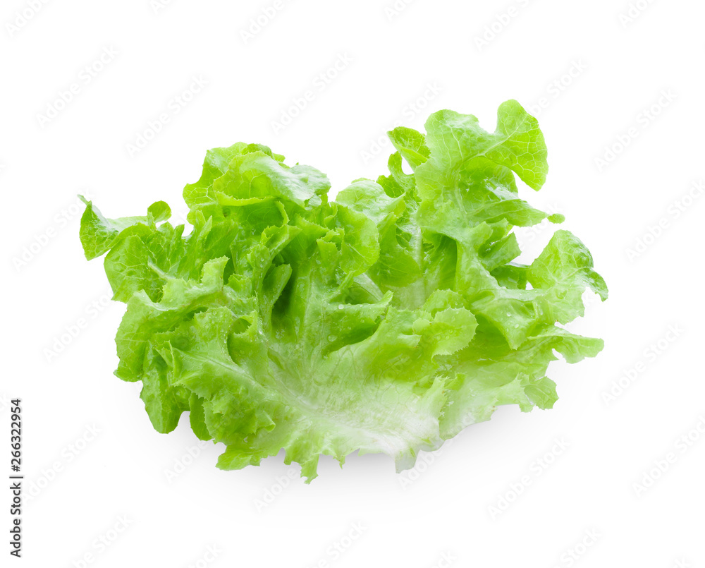 Salad leaf. Lettuce isolated on white background. full depth of field Salad leaf. Lettuce isolated on white background. full depth of field
