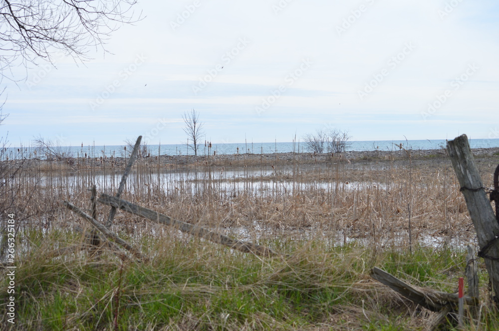 Spring Flooded Farm Field at Lake Edge
