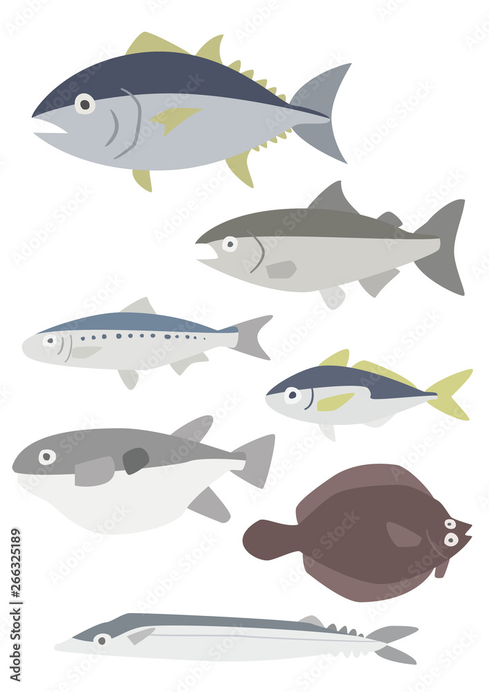 海の魚 海の魚