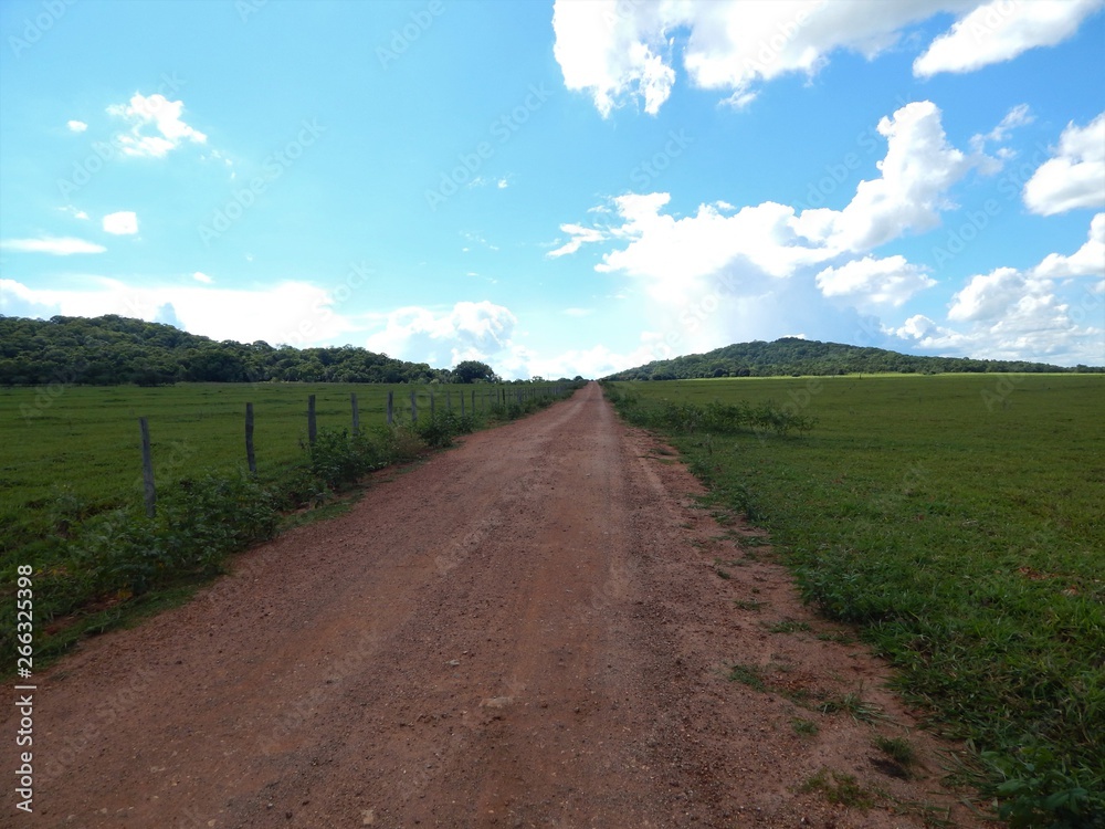 Fototapeta premium Caminho para o paraíso