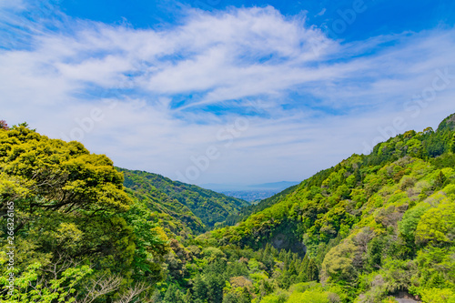 静岡県富士市 須津川渓谷の新緑 山並み