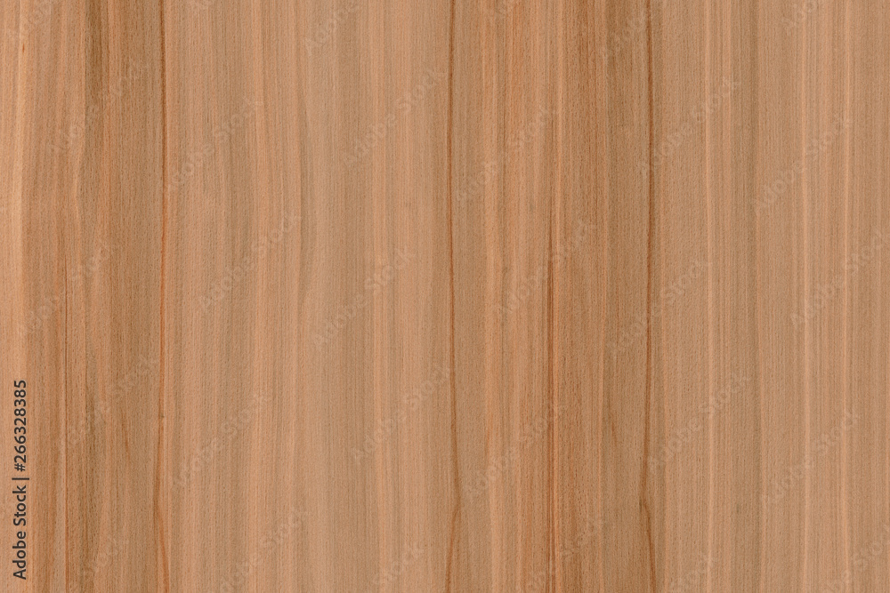 brown beech tree wood wallpaper structure surface texture background brown beech tree wood wallpaper structure surface texture background