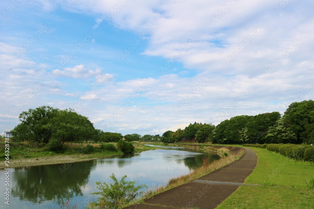 風景　春　新緑　道　思川　爽やか　杤木