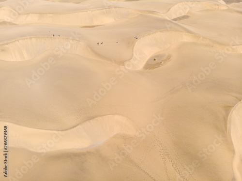 Aerial View of Sand Dunes in Gran Canaria with beautiful coast and beach, Canarian Islands, Spain