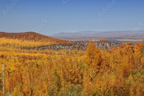 Autumn yellow landscape with houses in the distance