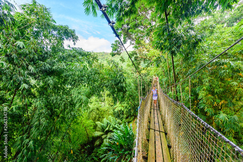 Balata Garden, Martinique - Paradise botanic garden on tropical caribbean island with suspension bridges - France photo