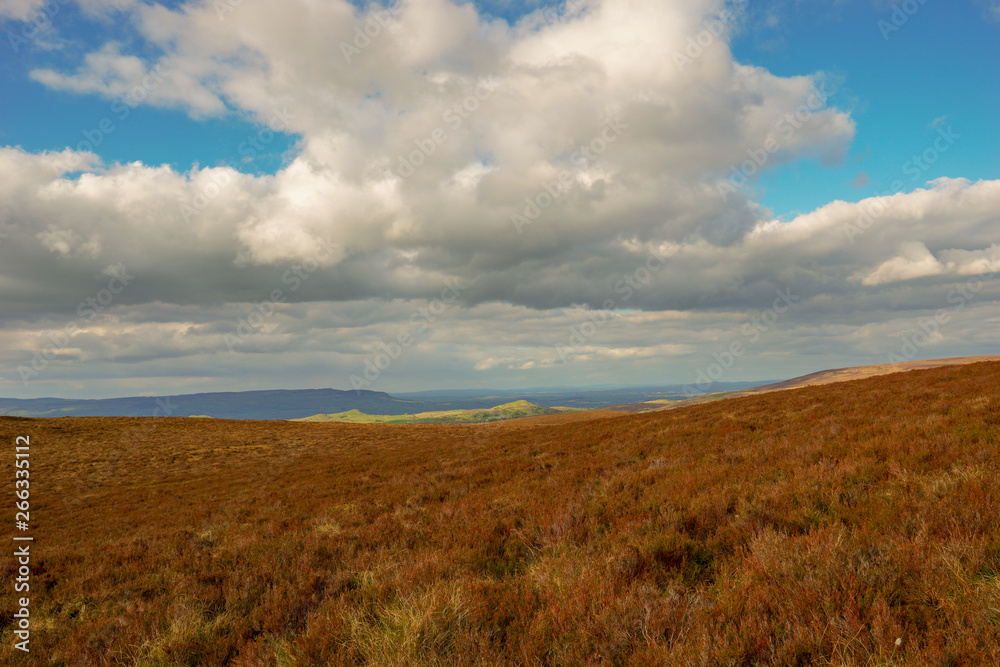 Ireland, County Fermanagh, Cuilcagh Mountain Park, Legnabrocky Trail