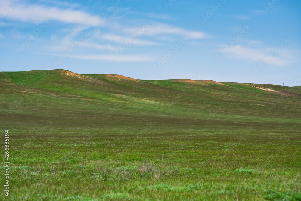 Beautiful picturesque spring landscape with green steppe and blue sky