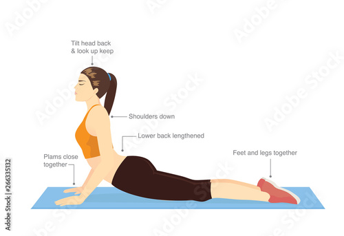 Woman doing stretching exercise with Cobra pose for guide. Illustration about correct workout diagram.
