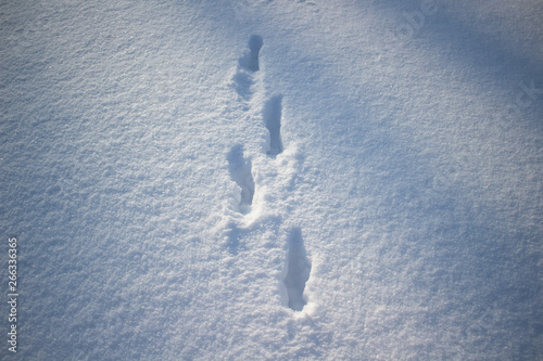 The footprints on the white snow from the boots.