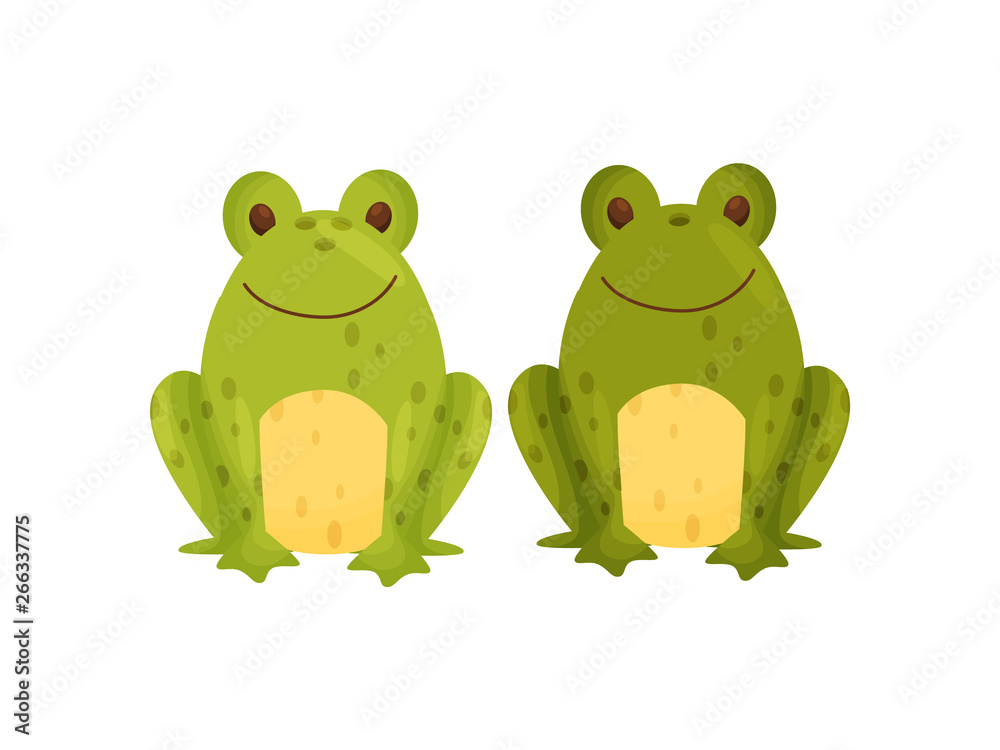Stylish salt and pepper shaker in the form of frogs. Vector illustration. Stylish salt and pepper shaker in the form of frogs. Vector illustration.