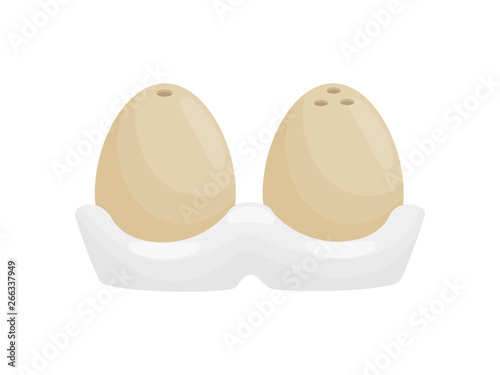 Stylish salt and pepper shaker in the form of eggs. Vector illustration. photo