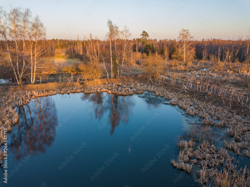 Pond and forest near Lugovaya, Moscow region.