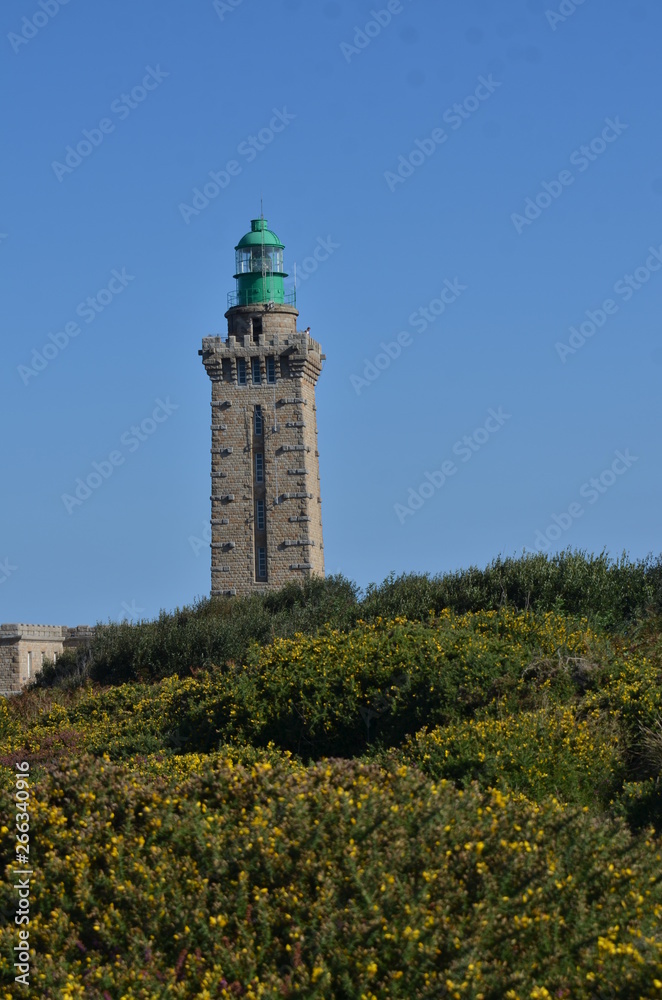 Faro Faro