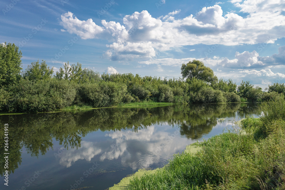 Obraz premium Beautiful summer landscape with pretty river and colorful trees. View of the sky with beautiful clouds. Stock photo