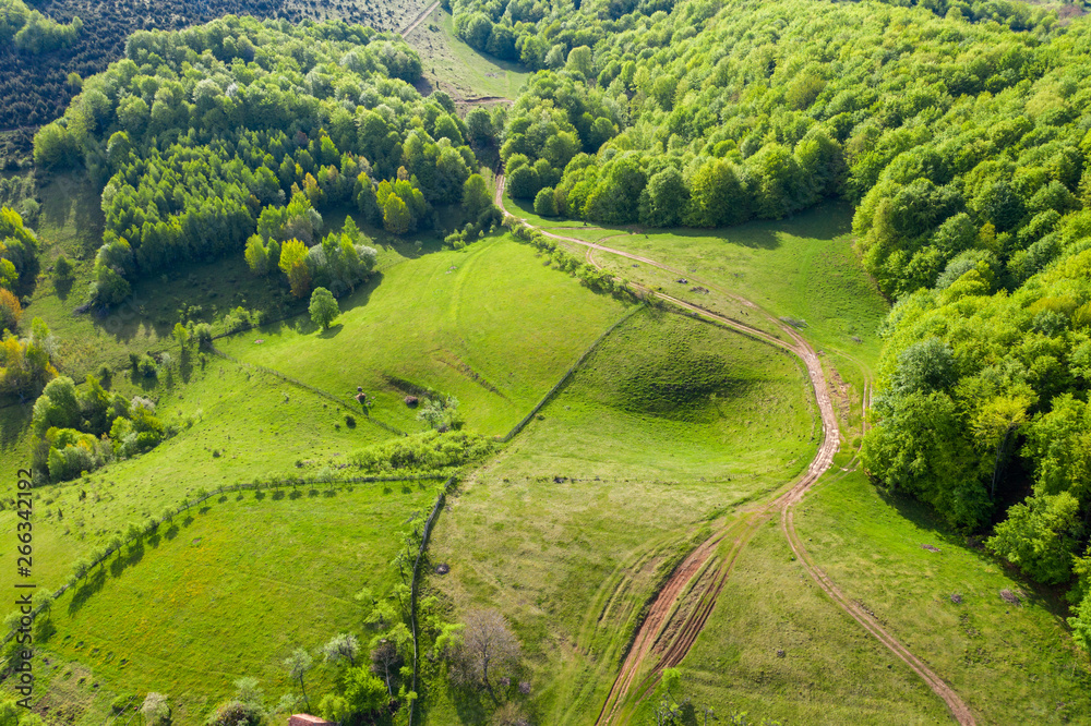 Aerial view of green hills and forest Aerial view of green hills and forest