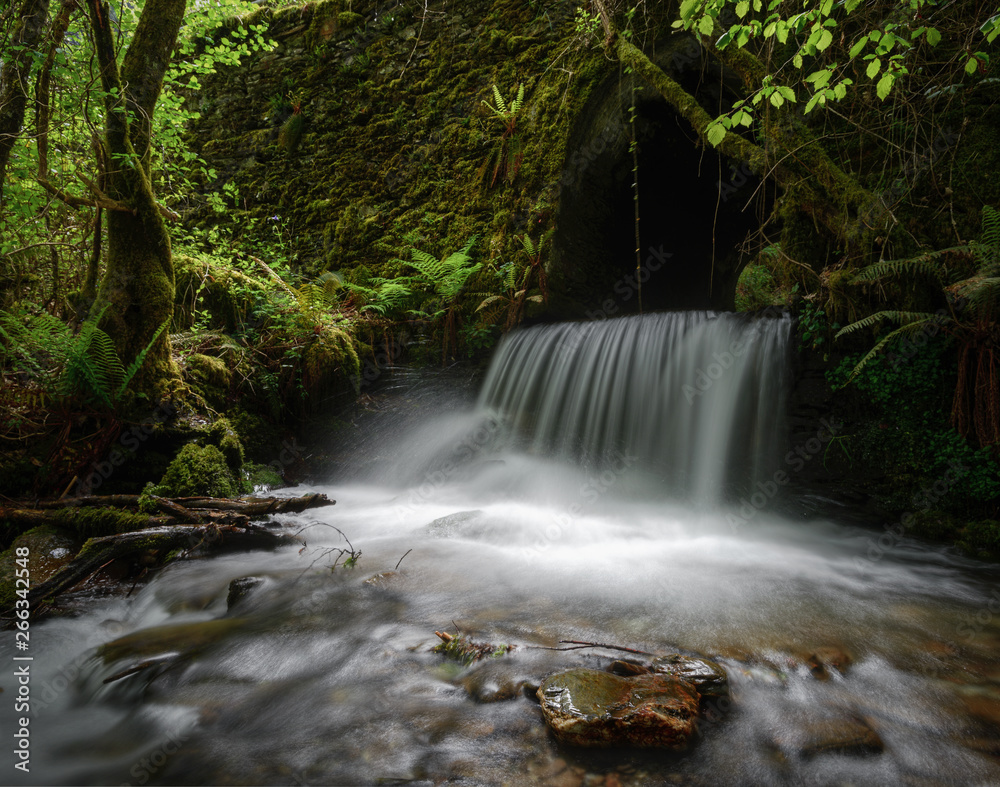A stream jumps at the end of the tunnel A stream jumps at the end of the tunnel