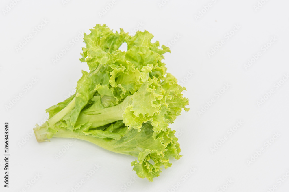Organic lettuce is safe for consumers. Organic lettuce is safe for consumers.