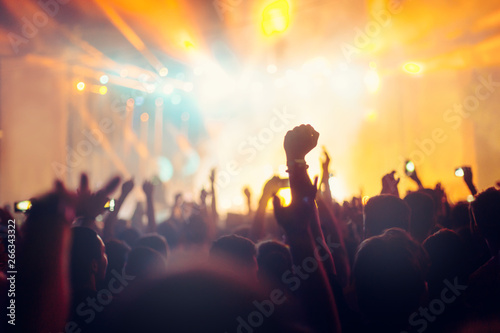 Picture of party people on music festival