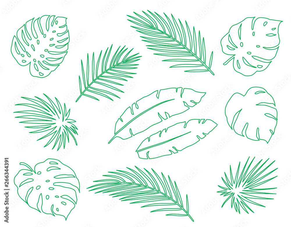 Fototapeta hand drawn tropical set palm leaves and branches