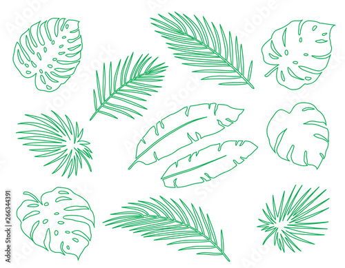 hand drawn tropical set palm leaves and branches
