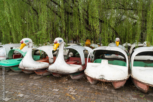 Obraz na płótnie Deserted swan boat in park w salonie