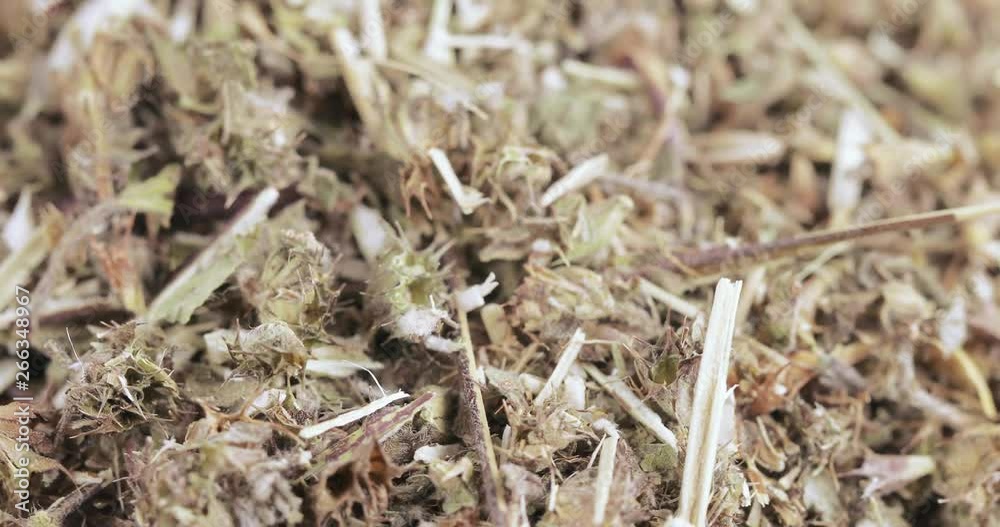 Motherwort grass in bulk Motherwort grass in bulk