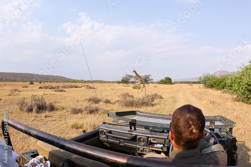 Konstfotografi game ranger on safari showing guests wildlife in Africa with a giraffe