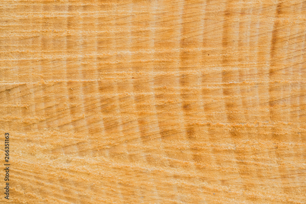 Beautiful old wood pattern. European beech (Fagus sylvatica). Beautiful old wood pattern. European beech (Fagus sylvatica).