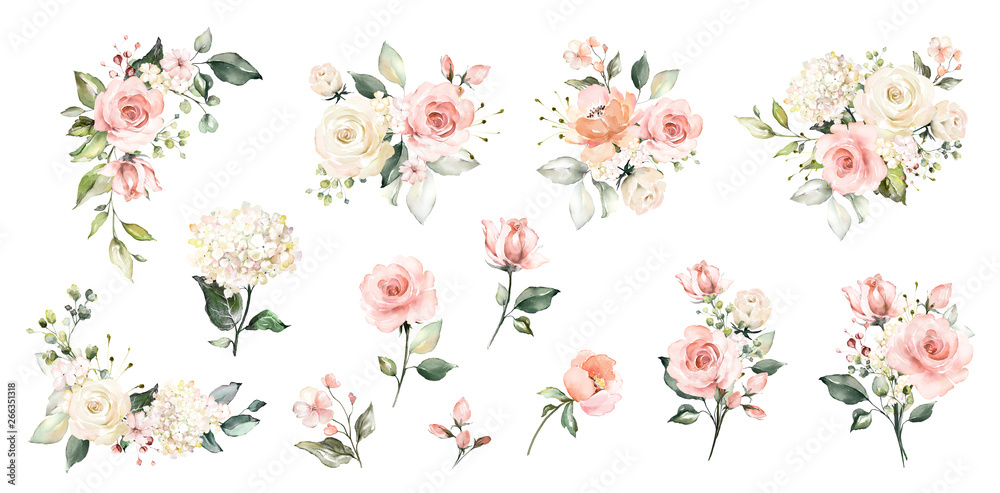 Set watercolor arrangements with roses. collection garden pink flowers, leaves, branches, Botanic illustration isolated on white background.