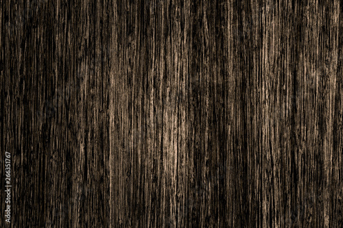 old vintage wood timber tree wooden surface wallpaper structure texture background