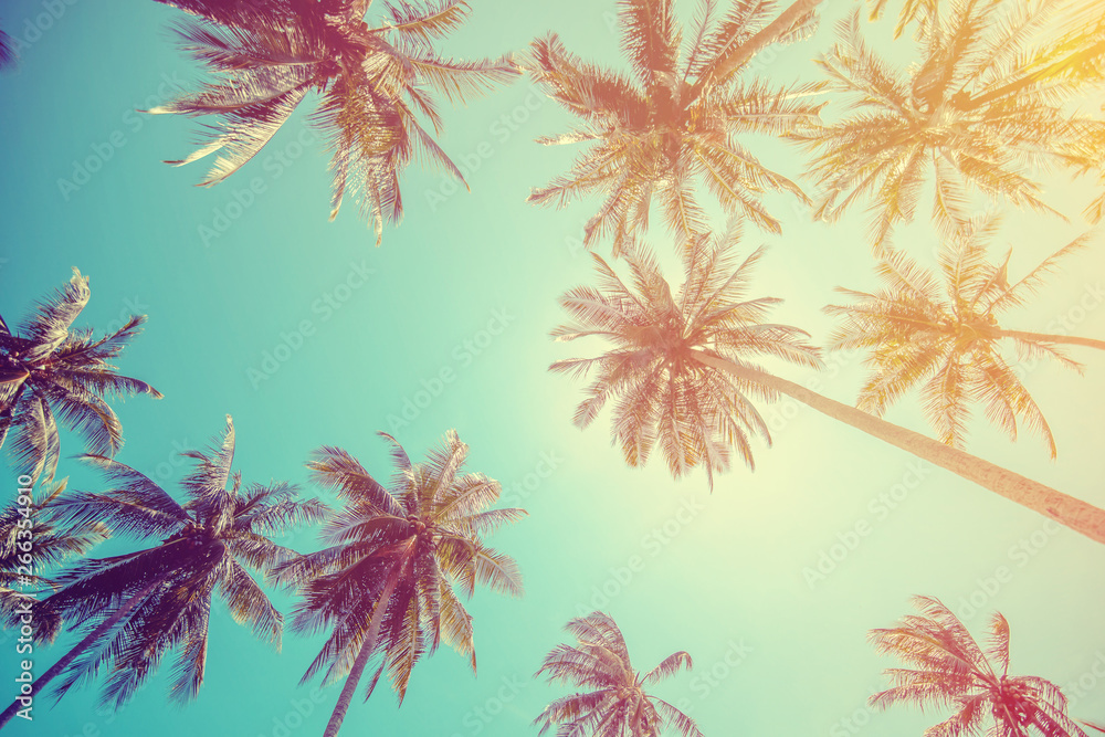 Tall royal palm trees line up against bright blue tropical sky