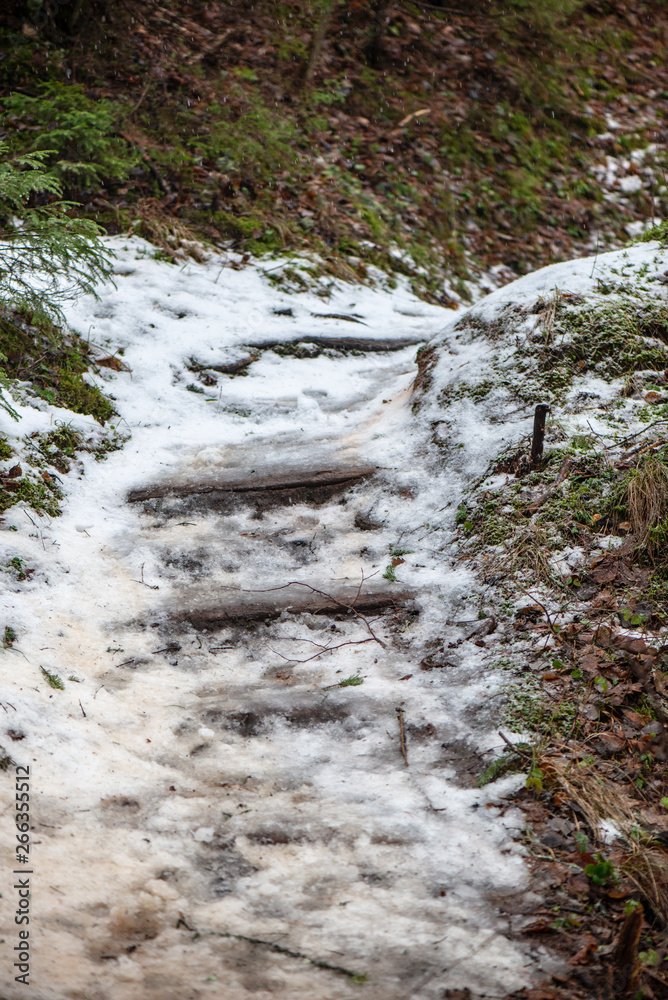 Fototapeta premium frozen ground texture in winter countryside