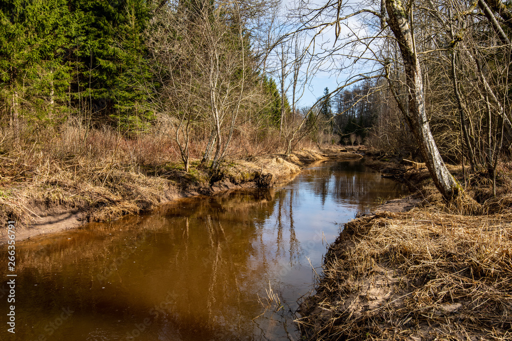 country forest river in early spring with no vegetation on the shores country forest river in early spring with no vegetation on the shores