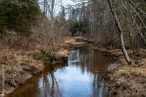country forest river in early spring with no vegetation on the shores