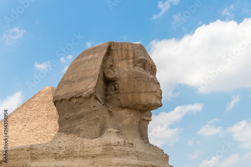 Close-up of a famous Egyptian Sphinx in Egypt