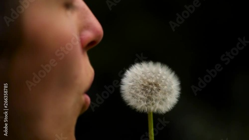 Pusteblume in Zeitlupe