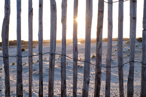 Wooden fence in the dunes near The Hague, Netherlands. photo